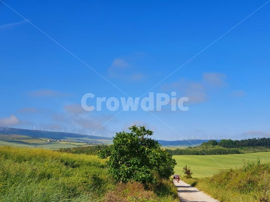 산티아고데콤포스텔라,까미노,파란하늘,santiagodecompostella,camino,bluesky