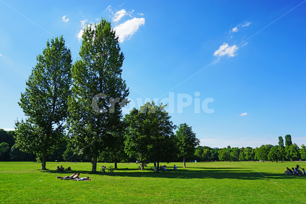 공원,소풍,피크닉,여름,자연,나무그늘,summer,picnic,park,자연,풍경,nature,landscape,plant,식물,grass,잔디,outdoors,옥외,lawn