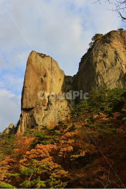 경북,청송,주왕산,주왕산가을,추색,가을,추경,단풍,단풍잎,cliff,낭떠러지,plant,식물,leaf,잎,tree,나무,treetrunk,나무줄기,nature,자연,outdoors,옥외,경치,경관,풍경,자연,풍경,nature,landscape