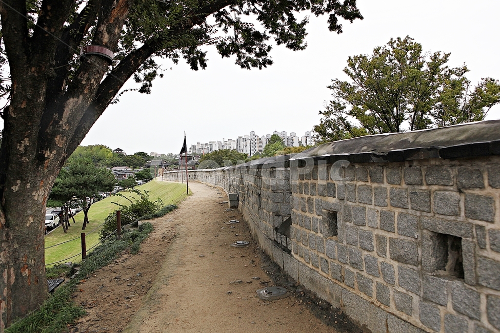 수원화성,성,성곽,길,둘레길,돌담,담,여름,자연,풍경,벽,방어벽,흙담,전통,한국전통,한국문화,korean traditional,korean culture