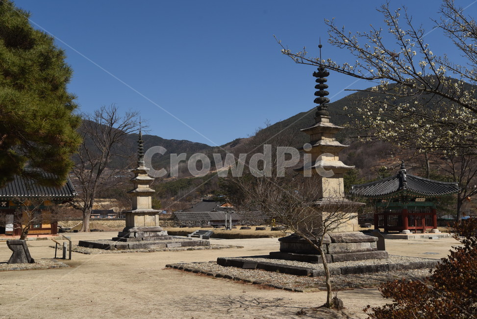 실상사,삼층석탑,쌍탑,문화재,보물,기념물,사찰,절,건축물,temple,architecture,bulding