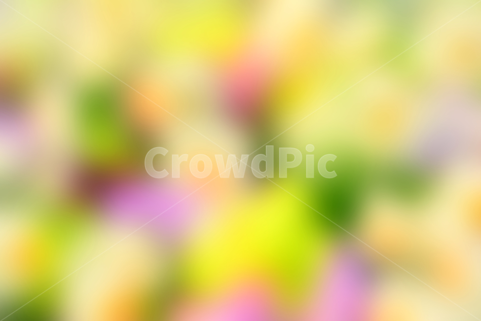 봄,색감,감성,분위기,느낌,벡그라운드,emotion,feeling,sensible,칼라풀,색상,화려한,colorful,season,시즌,계절,몽환적,그라데이션,gradation,art,번짐,혼색,다양한,노랑,빨강,핑크,분홍,그린,녹색,봄배경,background,바탕,배경