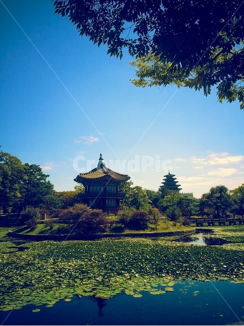 궁궐,향원정,조선,hyangwonjeong,gyeongbokgung