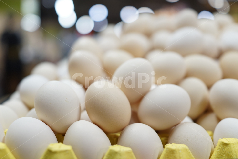 계란,상점,식자재,마트,달걀,요리,food,egg,mart,닭,chicken,fresh,신선한,후라이,초란,음식,식재료,요리,food,cook,meal,dishes,food reserves