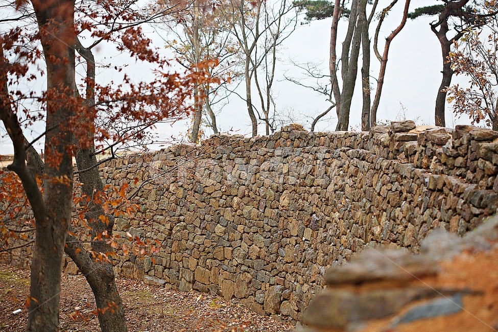 전등사,산성,성,성곽,길,둘레길,숲,숲길,담,돌담,가을,자연,풍경,식물,벽,방어벽,낙엽,단풍,가을,계절,fall,autumn,season,자연,풍경,nature,landscape