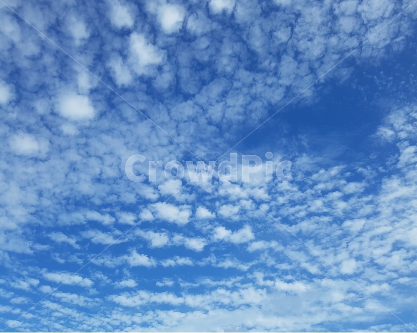 sky,cloud,blue,하늘,구름