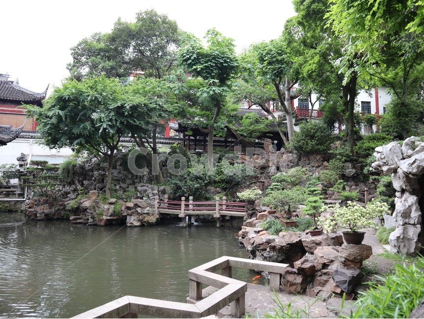 상하이,예원,연못,나무,건축물,돌,정원,outdoors,옥외,shanghai,pond