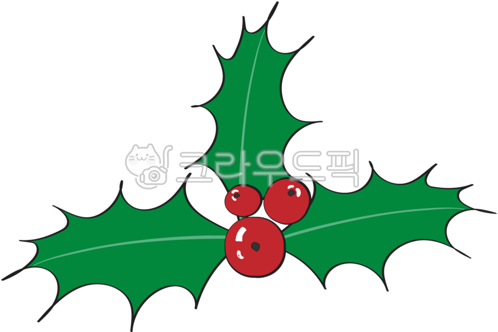 Holly,thorn,christmas,leaves,fruit,red fruit,christmas