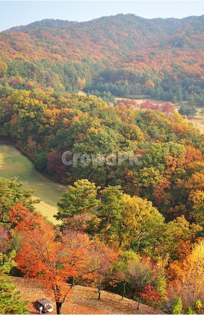 가을,숲,산,풍경,단풍,10월,알록달록,색감,자연,vivid,nature,여행,강원도,원주,수채화,감성,만추,소풍,가을,계절,fall,autumn,season,자연,풍경,nature,landscape,한국자연풍경,한국자연경관,korea nature landscape,scenery,outdoors,옥외,경치,tree,나무,plant,식물