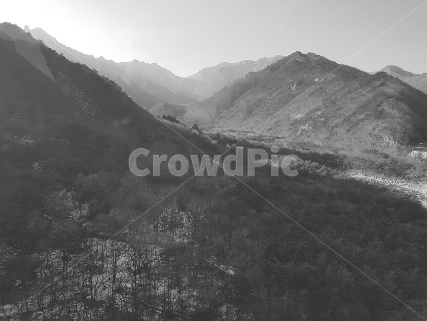 산,mountain,자연,흑백,풍경,nature,black,outdoors,옥외,분위기,검은색,멋짐,나무,view