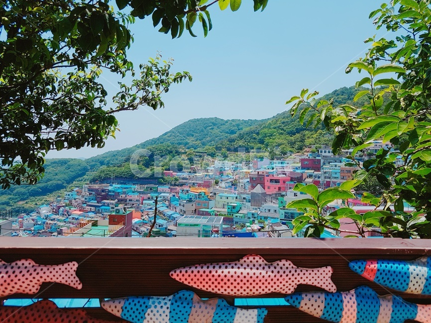 부산,도시,풍경,건물,나무,부산풍경,고화질,초고화질,도시,풍경,city,landscape,한국도시풍경,한국도시경관,korea cityscape