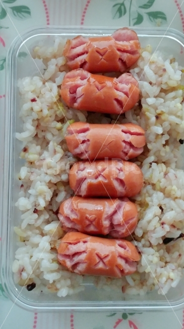 소세지밥,점심,도시락,맛있는,쌀밥,음식,식재료,요리,food,cook,meal,dishes,food reserves,아침식사,조식,브런치,breakfast,brunch