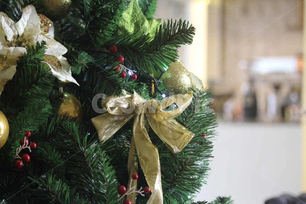 크리스마스,크리스마스트리,xmas,christmas,christmastree,겨울,계절,winter,season,기념일,축하,anniversary,congratulation,celebrate,celebration,메리크리스마스,성탄절,merry christmas