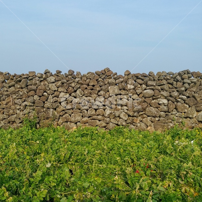 제주도,자연,제주도자연,제주하늘,제주도돌벽,제주도,jeju,jeju island,wall,벽,rubble,파편,ground,바닥