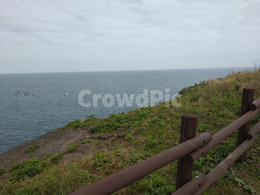 청보리,청보리밭,풍경,들판,바다,가파도,섬,푸른,자연,자연,풍경,nature,landscape,banister,난간,handrail,promontory,곶