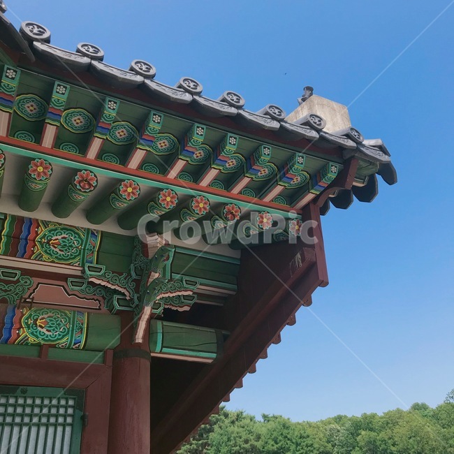 한옥,기와,처마,수원화성,문화재