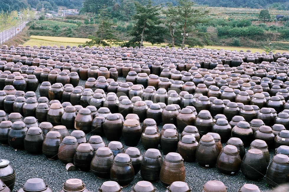 장독대,맑음,장독,나열,정렬,한국전통,한국문화,korean traditional,korean culture