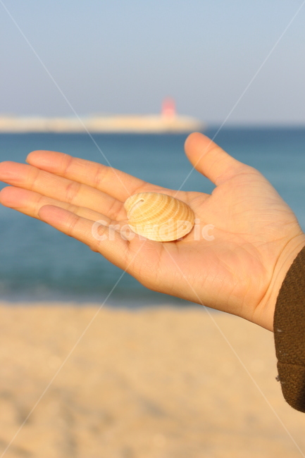 여행,바다,조개,손,감성