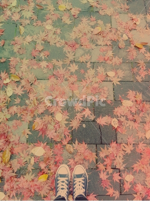 단풍,신발,바닥,나뭇잎,발,가을,계절,fall,autumn,season,military,군,military uniform,군복