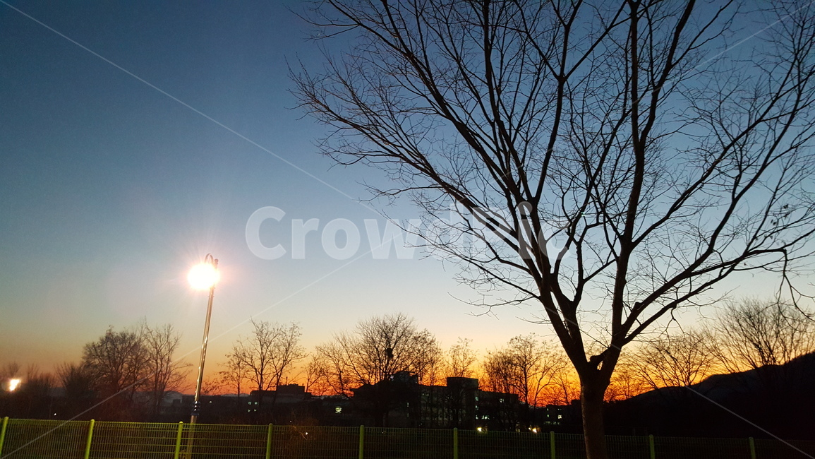 겨울,노을,일몰,석양,sunset,magichour,winter,개와늑대의시간,실루엣,자연,풍경,nature,landscape,실루엣,그림자,silhouette,shadow,flare,플레어,light,빛,outdoors,옥외,sunlight,햇빛