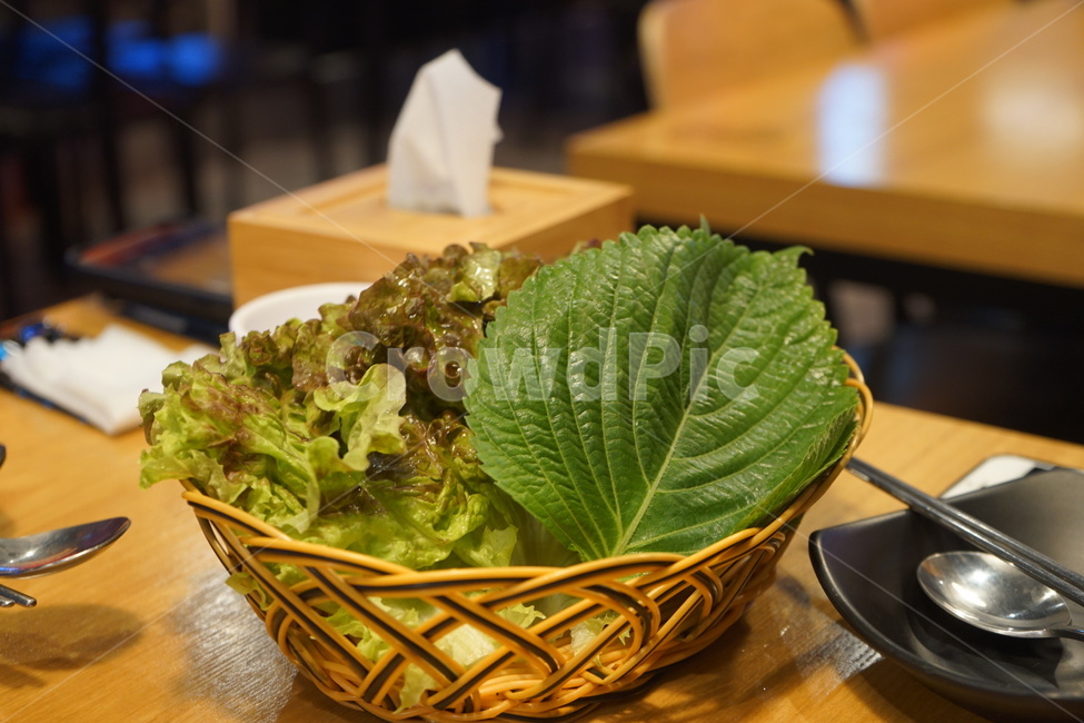 상추,야채,채소,깻잎,쌈야채,음식,식재료,요리,food,cook,meal,dishes,food reserves,채소,야채,vegetables
