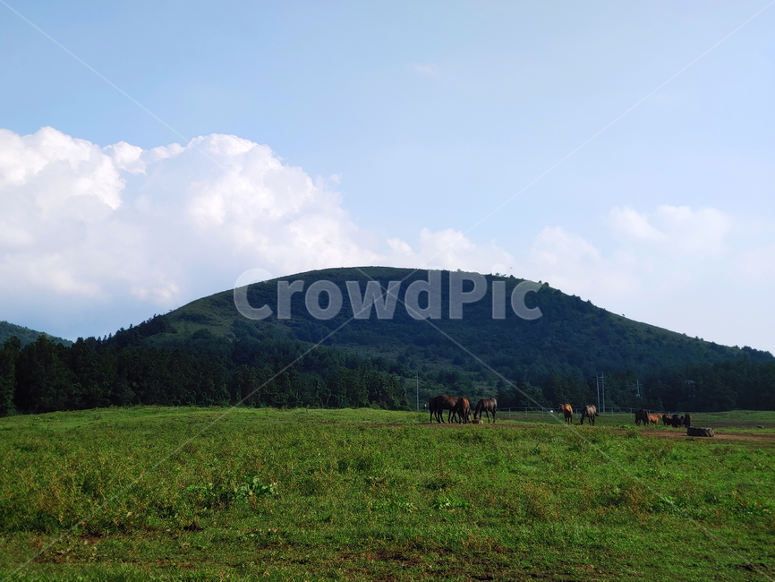 nature,자연,outdoors,옥외,field,countryside,들,산,하늘,구름,언덕