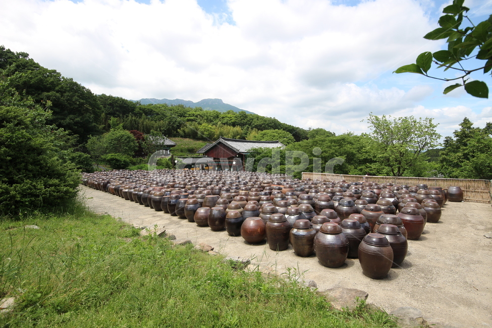서운암,사찰,옹기,절,장독대,한국전통,한국문화,korean traditional,korean culture,사물,물건,오브젝트,thing,object,matter