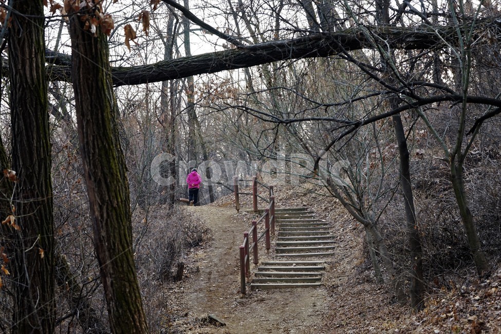 겨울산행,계절,나무,숲,사람,계단,길,자연,풍경,nature,landscape,gravel,자갈,dirt road,흙길,road,도로,banister,난간,handrail