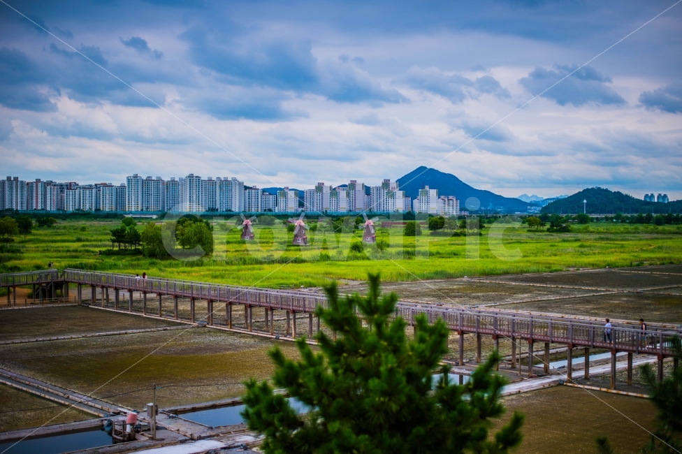 인천,소래,소래습지공원,풍경,풍차,자연,풍경,nature,landscape,한국자연풍경,한국자연경관,korea nature landscape,도시,city,한국도시풍경,한국도시경관,korea cityscape,outdoors,옥외,human,인간,person,사람