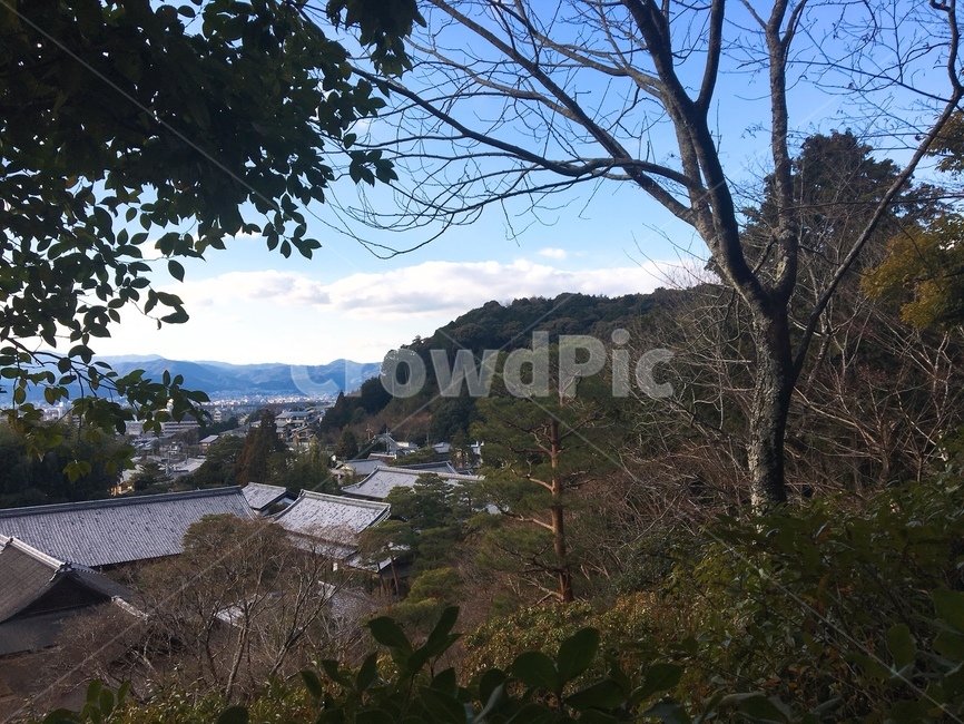 나무,건물,풍경,산,한옥,전경,자연,화창한날