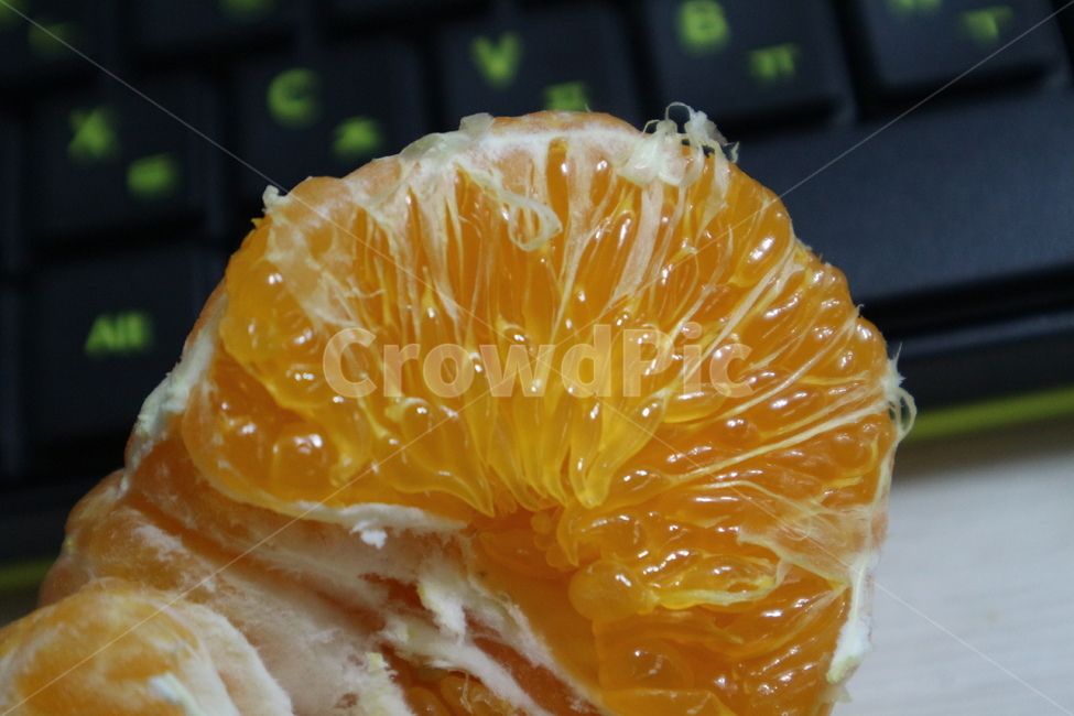 food,음식,과일,fruit,귤,과일,열매,fruit