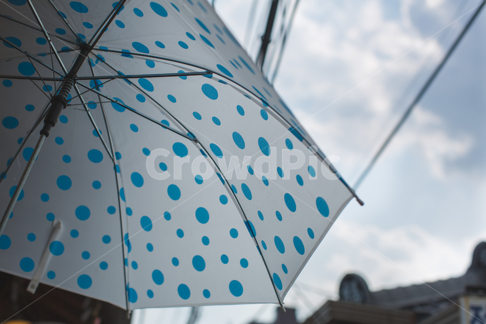 우산,하늘,umbrella,sky,하늘색