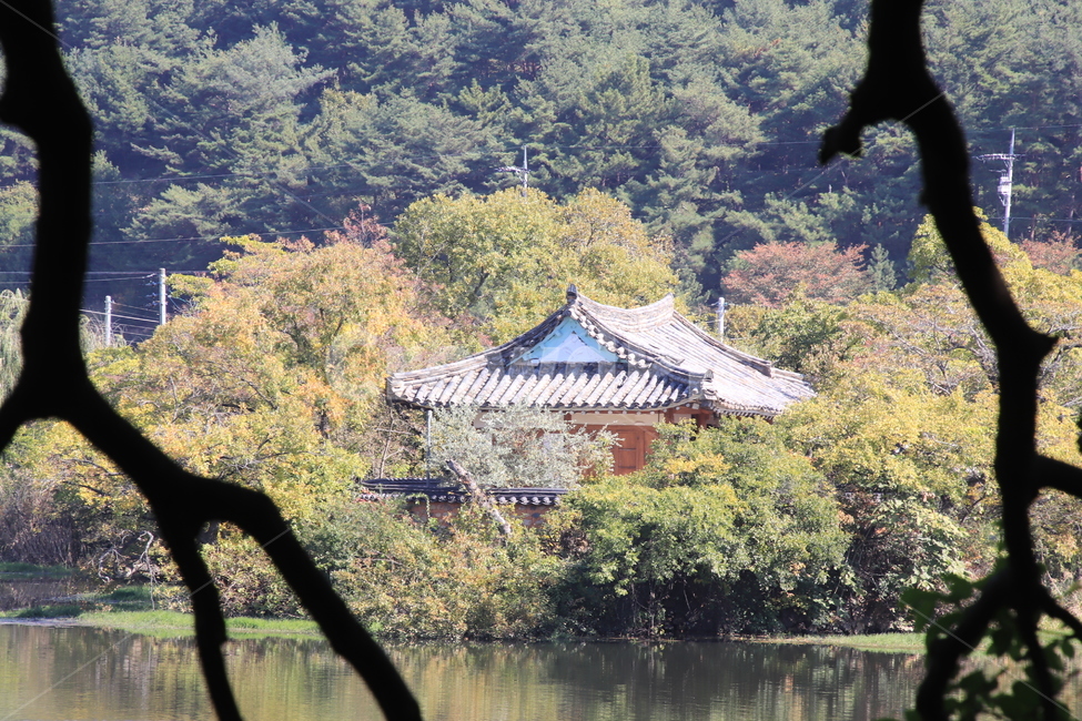 풍경,건물,가을,저수지,위양지,자연,풍경,nature,landscape,한국자연풍경,한국자연경관,korea nature landscape,outdoors,옥외,water,물