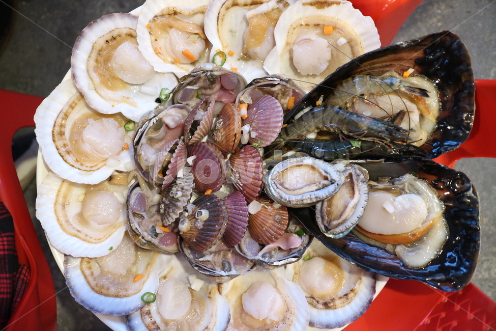 울산,조개구이,조개,해산물,해산물구이,치즈구이,가리비,술안주