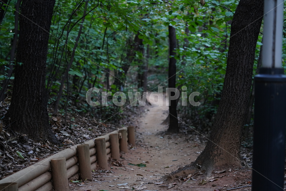 길,산책,등산로,자연,숲,산보,흙,땅,ground,바닥,도로,road,자갈,자연,풍경,nature,landscape