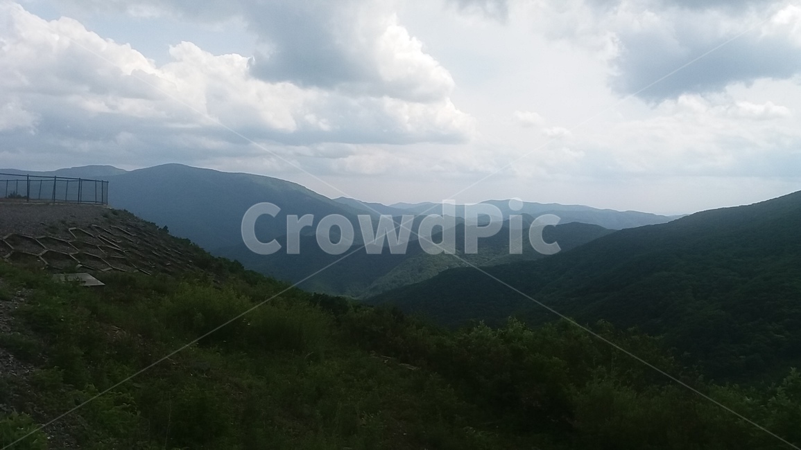 산정상,풍경,숲,하늘,뭉게구름