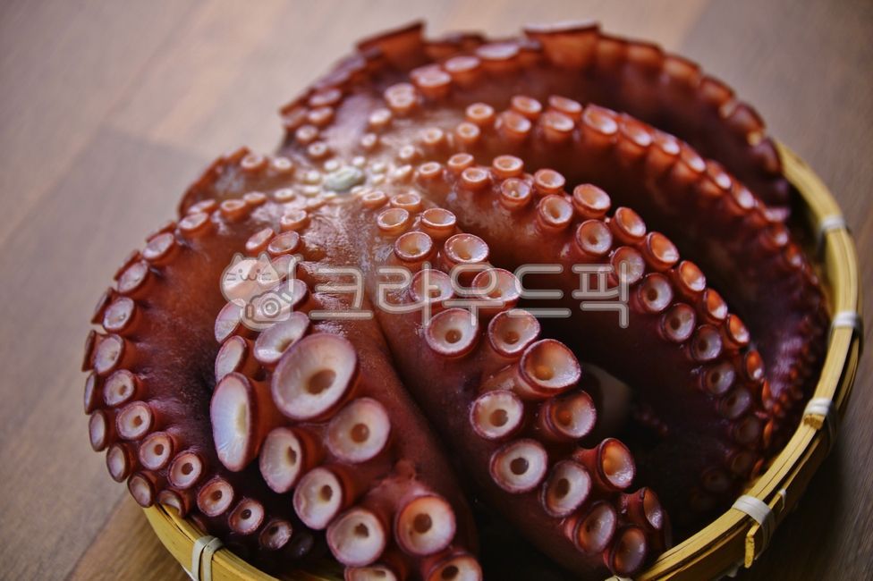 문어,숙회,바다생물,음식,먹거리,문어회,돌문어,자숙문어,문어숙회,연체동물,식재료,문어다리,음식,식재료,요리,food,cook,meal,dishes,food reserves