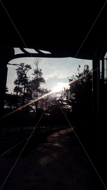 빛,light,역광,sun,dark