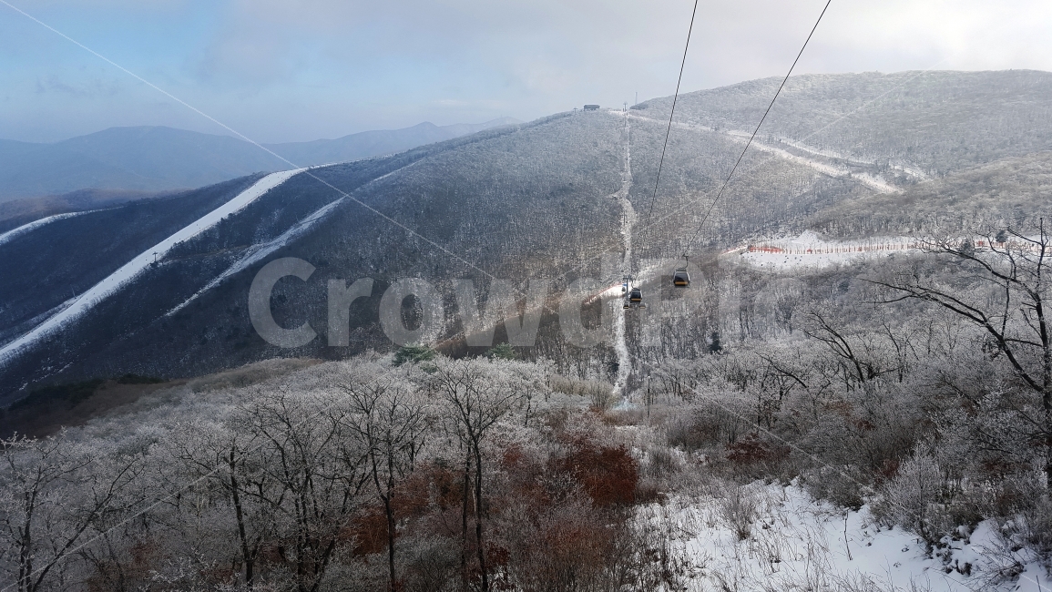 스키장,겨울산,눈,스키,보드,곤돌라,겨울,겨울,계절,winter,season,자연,풍경,nature,landscape,한국자연풍경,한국자연경관,korea nature landscape,leisure activities,레저 활동,adventure,모험,gliding,활공