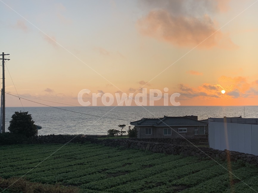 바다,해변,휴식,노을,제주도