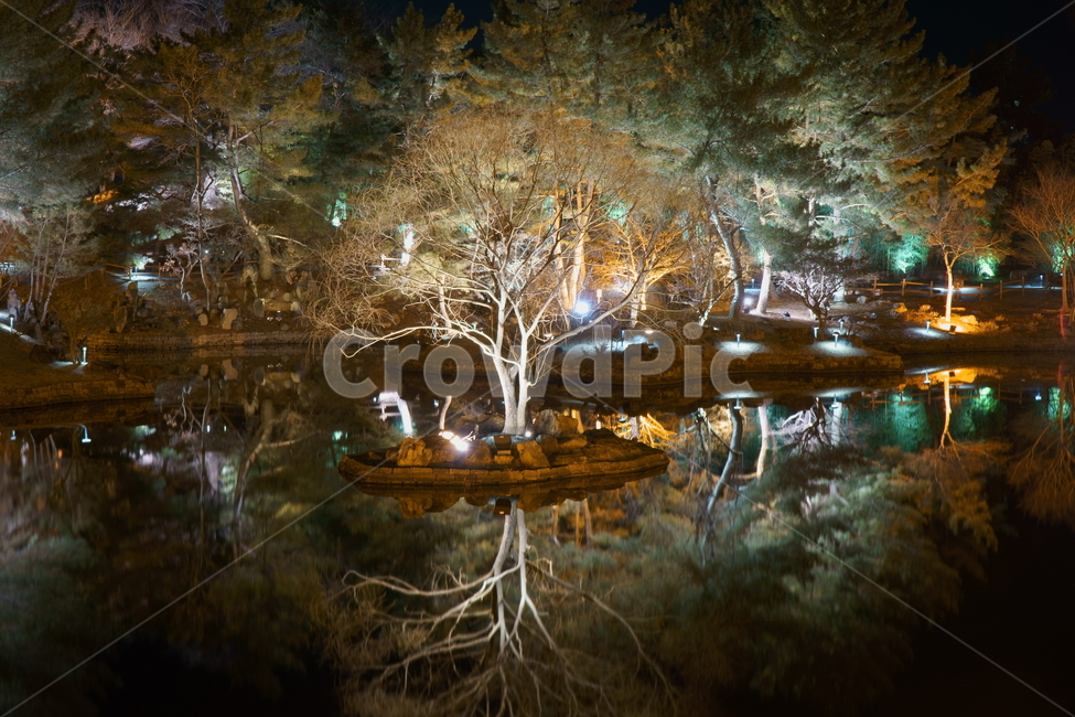 wallpaper,바탕화면,배경화면,달력사진,감성적,감성,몽환적,반영,자연,야경,조명,tree,신비,나무,요정,신비한,fantasy,elf,시간,멈춤,액자용,인화,벽걸이용,한그루,안압지,고목,힐링,밤,호수환상,healing,감성적인,sensitive,dramatic,드라마틱,명화같은,backgroundpaper,동궁과월지,경주