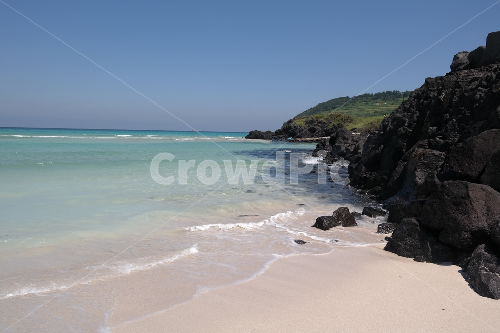 제주도,해변,바다,물,돌,해수욕장,여름