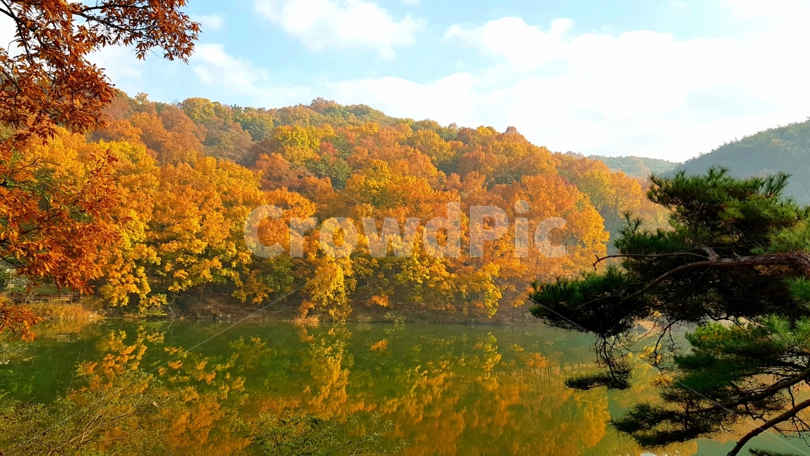 함안,저수지,가을,만추,반영,가을,계절,fall,autumn,season,자연,풍경,nature,landscape,한국자연풍경,한국자연경관,korea nature landscape,outdoors,옥외,field,들,grassland,목초지