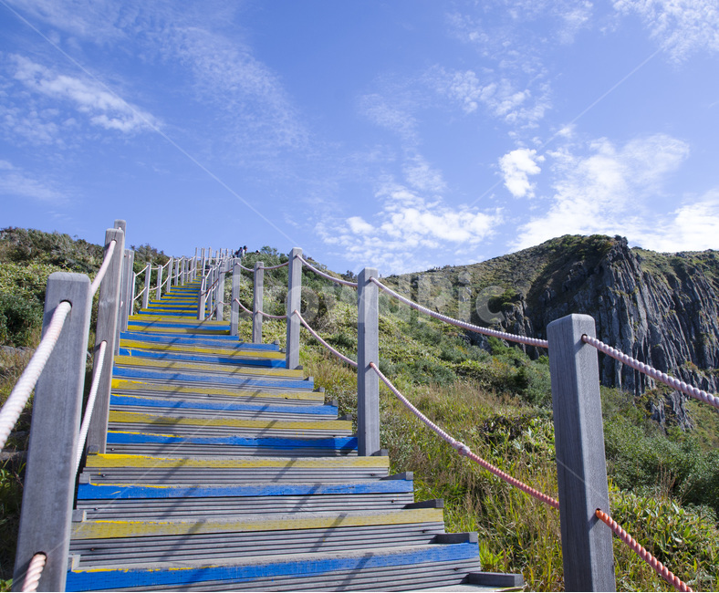 제주도,한라산,산,제주,숲,하늘,자연,풍경,오름,제주도의산,자연,풍경,nature,landscape,banister,난간,handrail,railing,staircase,계단