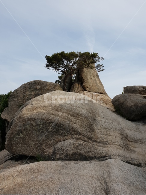 용봉산,산,풍경,바위,구름,나무,자연,풍경,nature,landscape,rock,록