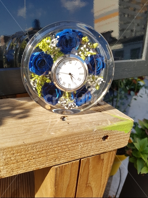 꽃선물,장미꽃,시계,clock,프리저브드,사물,물건,오브젝트,thing,object,matter