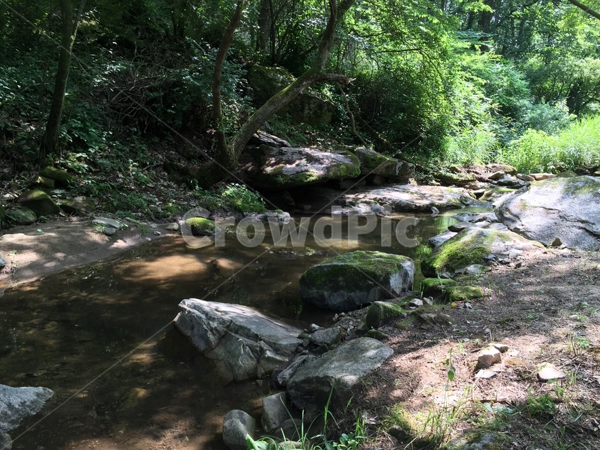 여름,계곡,바윗돌,시원함,평온함,여름,계절,summer,season,자연,풍경,nature,landscape,water,물,outdoors,옥외,stream,흐름,creek,작은 만