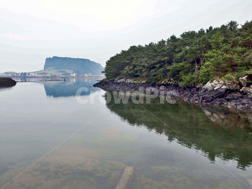 식산봉,내수면,늪지대,올레2코스,제주,서귀포시,보,둑,양어장,자연,풍경,nature,landscape,한국자연풍경,한국자연경관,korea nature landscape,제주도,jeju,jeju island,outdoors,옥외,ice,얼음,빙