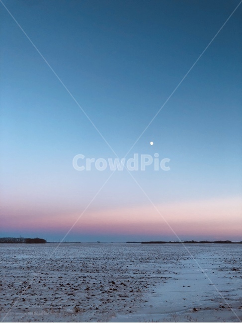 겨울,지평선,풍경,달,여명,노을,눈,하늘,파란,winter,cold,sky,sunset,tree,horizon,자연,풍경,nature,landscape,야경,밤,nightscape,night