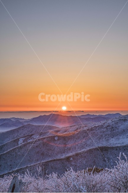 태백산,일출,눈꽃,설산,산,풍경,아침,그라데이션,겨울,계절,winter,season,자연,풍경,nature,landscape,outdoors,옥외,sky,하늘,red sky,붉은 하늘,dusk,황혼,dawn,새벽,sunset,일몰
